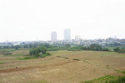 Quy hoạch, sử dụng quỹ đất bãi gắn với chỉnh trị, bảo đảm dòng chảy sông Hồng