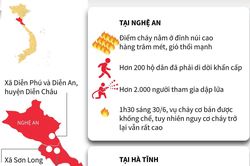 Toàn cảnh vụ cháy rừng ở Nghệ An và Hà Tĩnh