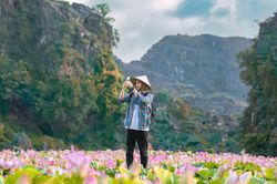 Cảnh đẹp ở cánh đồng sen Ninh Bình