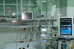 Ong vò vẽ đốt hơn 80 mũi, bé trai 4 tuổi cấp cứu trong nguy kịch
