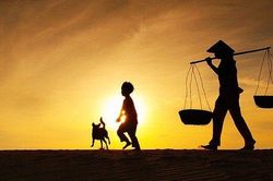 Hình hài của tình yêu