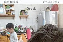Dùng Google để tìm khủng long trong nhà bạn