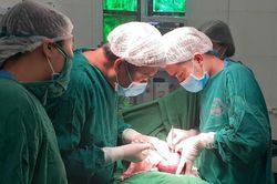 Cắt lách cho trẻ 3 tuổi bị tan máu bẩm sinh