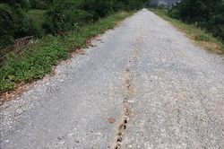Xuất hiện nhiều vết nứt trên đê tả sông Đáy ở Hà Nam