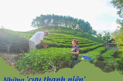 Những cựu thanh niên xung phong Nghệ An trên trận tuyến mới