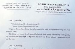 Đề thi Ngữ văn chuyên lớp 10 trường Phổ thông Năng khiếu TP.HCM