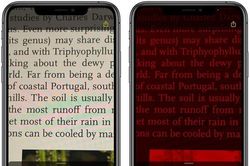Công cụ kính lúp trên iPhone được nâng cấp tại phiên bản iOS 14