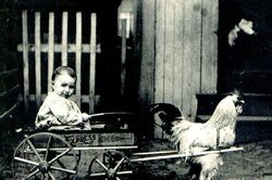 Hài hước người xưa dùng động vật làm trò vui
