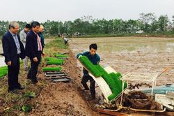 Hà Nội có 330 máy cấy, 35 dây chuyền gieo mạ khay tự động