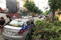 Hà Nội: Cành cây xà cừ lớn gãy, làm hỏng 3 xế hộp gần bệnh viện 108