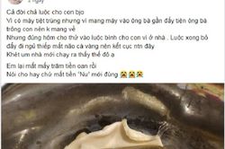 Mẹ bỉm khiến dân mạng 'cười hớt hàm' vì luộc bình sữa cho con