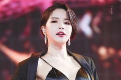 Chế độ ăn kiêng của Solar (MAMAMOO)