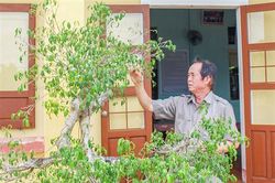 Người trưởng thôn mẫu mực
