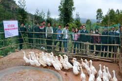 Để mô hình sinh kế phát huy hiệu quả bền vững