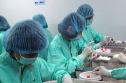 Vaccine Covid-19 'made by Vietnam' tăng tốc