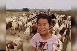 Clip: Ngạc nhiên với cô bé 7 tuổi một mình chăn 300 con dê
