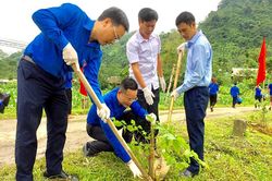 Đoàn Thanh niên Ủy ban Dân tộc Trung ương tổ chức các hoạt động tình nguyện tại Chiêm Hóa