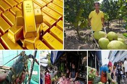 Tiêu dùng trong tuần: Giá thực phẩm và trái cây đồng loạt tăng mạnh
