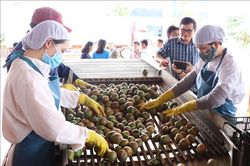 Giám đốc khu vực của Phòng Thương mại Liên bang Áo ấn tượng về sự phát triển của Việt Nam
