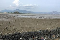 Hiểm họa bệnh tật từ ô nhiễm ven biển Ninh Thuận