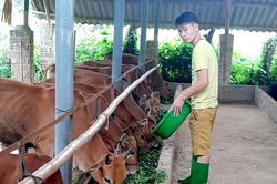Thủ lĩnh thôn Nà Làng