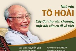 Nhà văn Tô Hoài - Cây đại thụ văn chương của Việt Nam