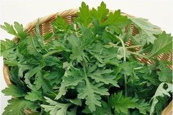 Tác dụng phụ đáng sợ của lá ngải cứu nếu dùng không đúng cách
