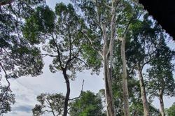 Một ngày với Vườn quốc gia Bù Gia Mập