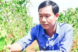 Những ý kiến tâm huyết hướng về Đại hội Đảng bộ tỉnh lần thứ XVII, nhiệm kỳ 2020 - 2025 (Kỳ 4)