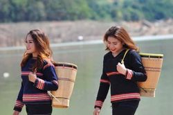 Hai 'hạt giống đỏ' của dòng nhạc Tây Nguyên