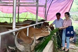 Chủ tịch Hội Nông dân xã làm 'dân vận khéo'