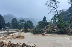 'Lũ gỗ' tràn về, biên phòng chốt chặn ngăn người dân đi vớt củi