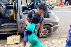Bắt giữ xe khách vận chuyển động vật hoang dã