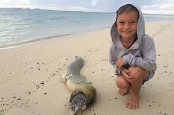 Cá nóc phình thân tự vệ, lươn chết ngạt trong đau đớn