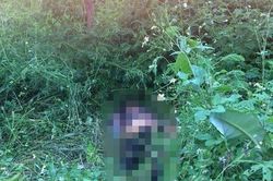 Yên Bái: Phát hiện thi thể nam giới nghi vấn bị sát hại