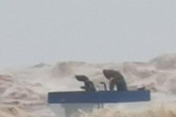 Huy động trực thăng cứu 8 thuyền viên đang mắc kẹt 2 ngày giữa biển