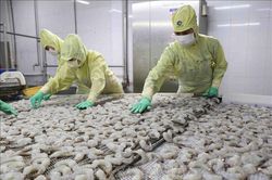 Xuất khẩu thủy sản đang có dấu hiệu phục hồi