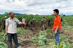 Tỷ phú 'chân đất' ở Pờ Tó
