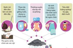 Đề phòng dịch bệnh trong và sau mùa bão lụt