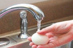 Rửa trứng gà trước khi ăn, cả nhà bị ngộ độc nặng