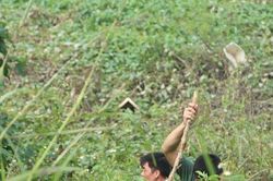 Cơ quan công an ráo riết tìm nữ sinh học viện Ngân hàng