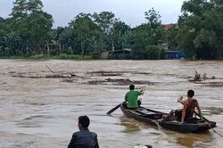 Hãi hùng dân liều mình chèo thuyền giữa nước lũ vớt củi