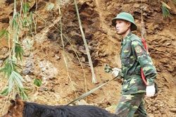 Cảnh khuyển dầm mình dưới mưa tìm kiếm nạn nhân vụ sạt lở ở Quảng Nam