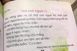 Bộ Giáo dục lý giải về việc không biên soạn sách giáo khoa phổ thông