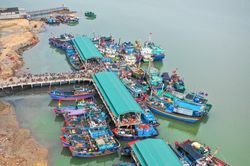 Cần tạo thuận lợi cho các cảng cá hoạt động hiệu quả