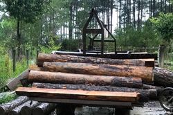 Bắt 3 vụ vận chuyển lâm sản trái phép