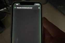 iPhone 12 series dính lỗi màn hình xanh
