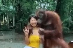 Đười ươi thản nhiên ôm hôn, sàm sỡ vòng 1 của gái xinh