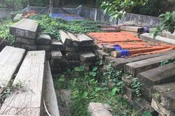 Đừng để gỗ quý hiếm biến thành gỗ mục