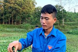 Làm giàu từ nuôi ốc nhồi